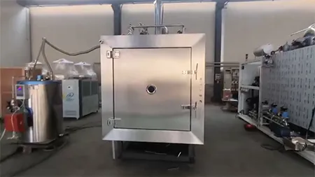 Vacuum Freeze Dryer